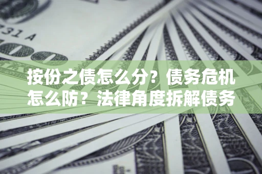 武汉按份之债怎么分？债务危机怎么防？法律角度拆解债务分配与风险自保指南