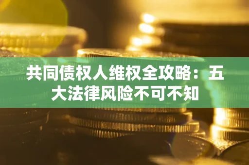 武汉共同债权人维权全攻略：五大法律风险不可不知