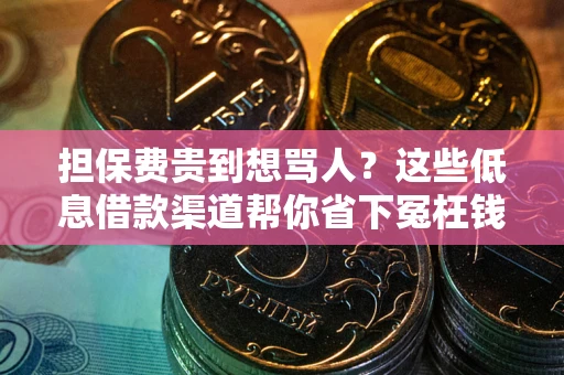 武汉担保费贵到想骂人？这些低息借款渠道帮你省下冤枉钱