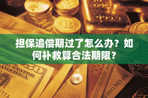 武汉担保追偿期过了怎么办？如何补救算合法期限？