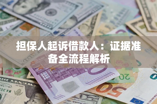 武汉担保人起诉借款人：证据准备全流程解析