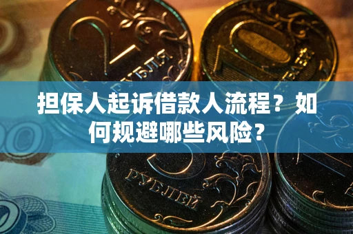 武汉担保人起诉借款人流程？如何规避哪些风险？