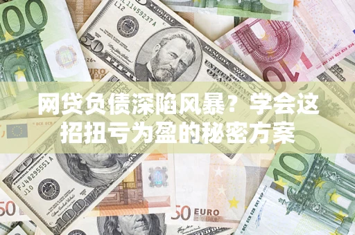 武汉网贷负债深陷风暴？学会这招扭亏为盈的秘密方案